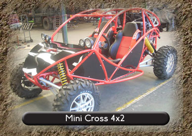 new buggy 4x4